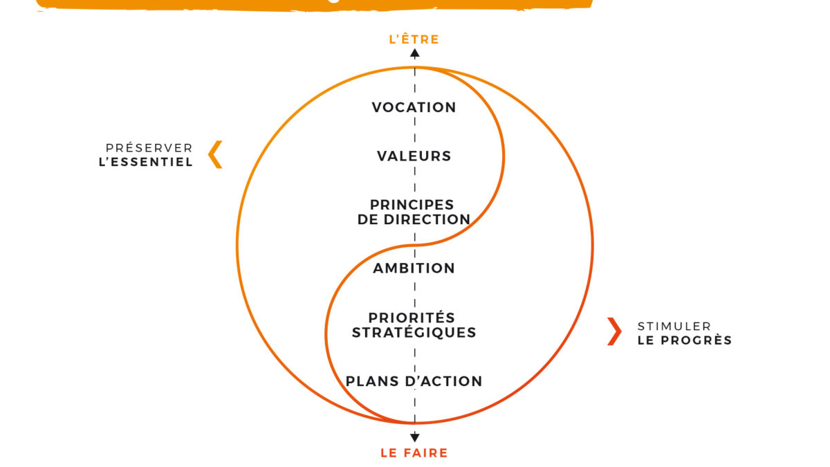 les niveaux de la vision