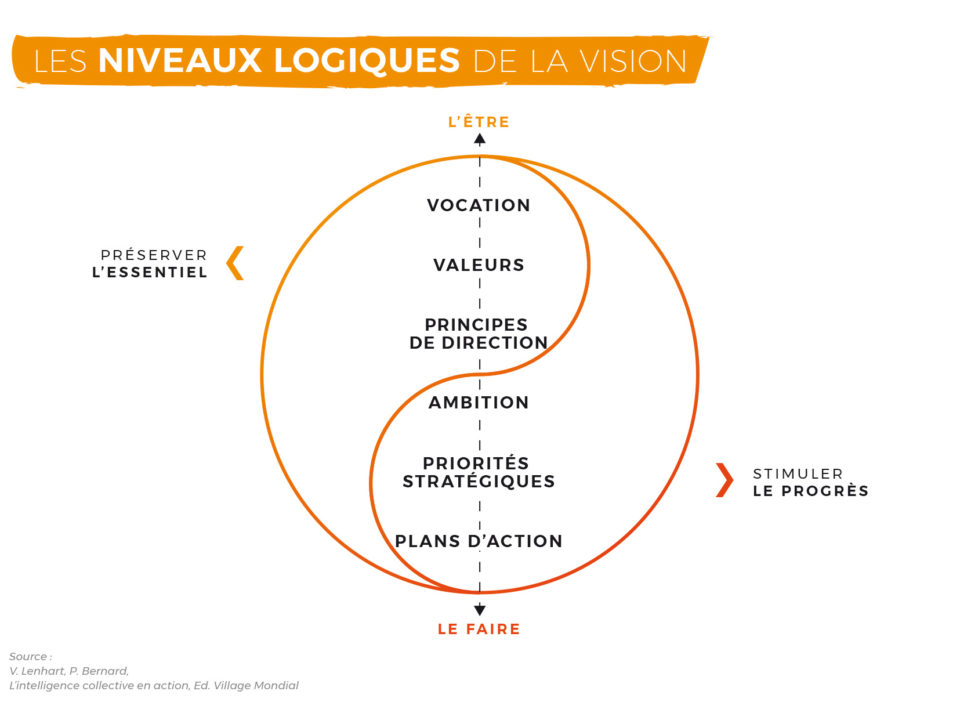 les niveaux de la vision